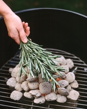 Rosemary