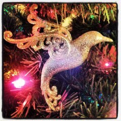 IMG_20131208_210420