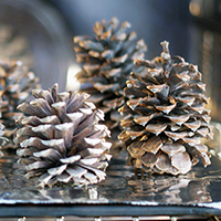 Scented Pinecones