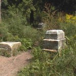 Bachelor's Grove Cemetery