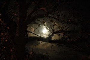 Source: http://www.fairyist.com/fairy-sightings/joshua-coslet-meets-the-corpse-candle-carmarthenshire/