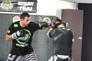 Fabricio Werdum 