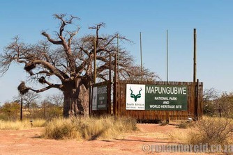 Things to do at Mapungubwe National Park