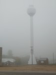 DSCN7631