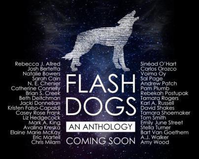 flashdogspromo
