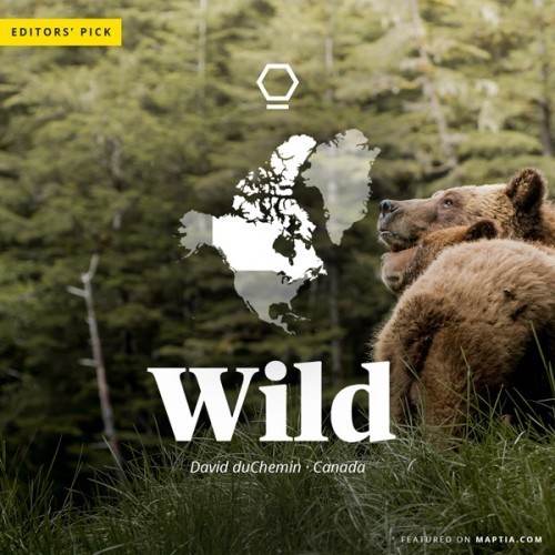 davidduchemin-canada-maptia-1