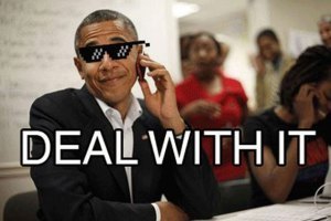 dealwithit