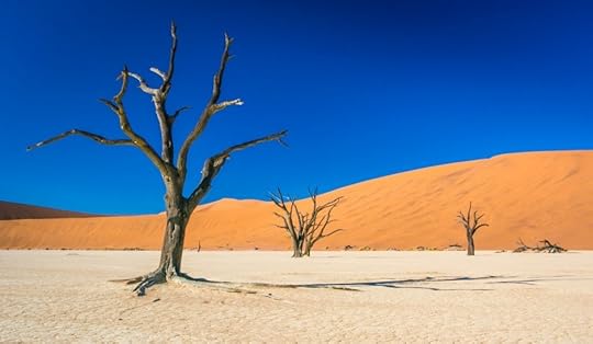 Dead Vlei, Namibia