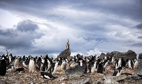 Antarctic Desert
