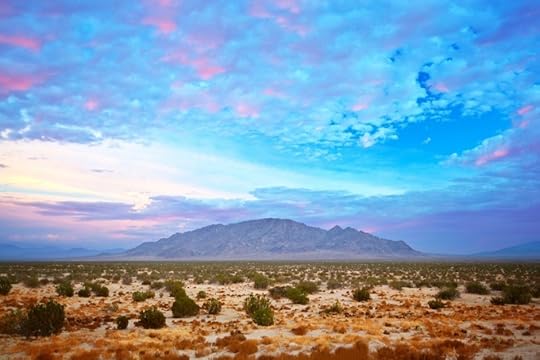 Sonoran Desert