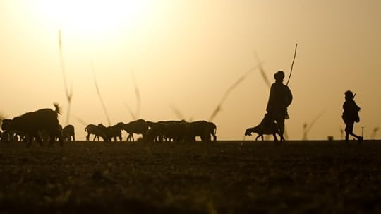 Thar Desert