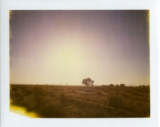 Western landscape