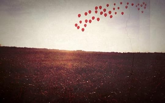 Balloons floating away above a field