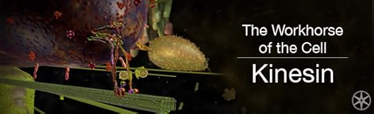 Kinesin_ENV.jpg