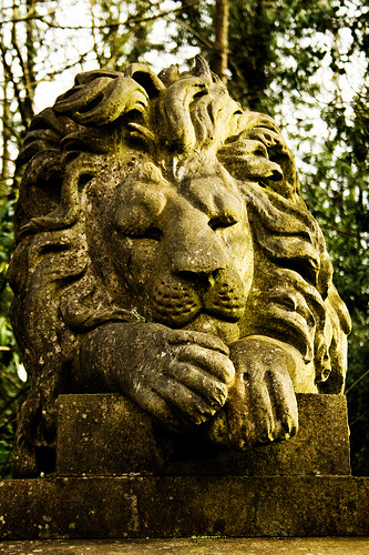 Let sleeping lions lie