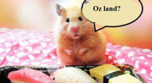 zfathhh97777199998888