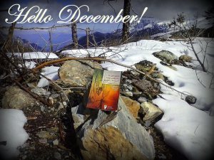 1625592_492122514225071_2113948873_n