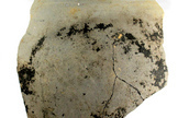 Roman cooking pot