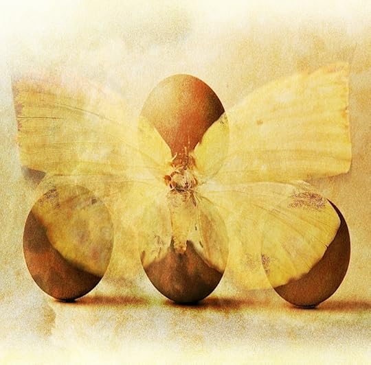 Eggs-fly