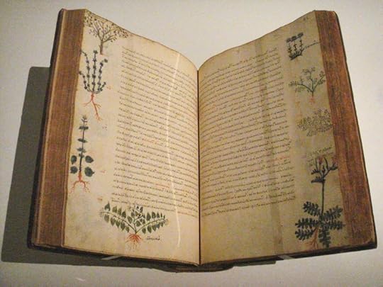 A 15th century herbal