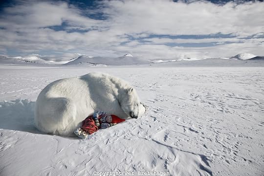 SLEEPING-NEXT-TO-THE-POLAR-BEAR