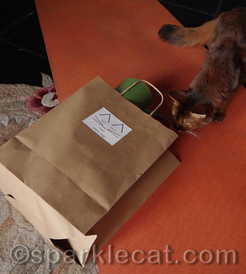 A bag AND a gift!