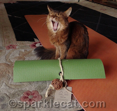 I can't wait to do Shavasana on this!