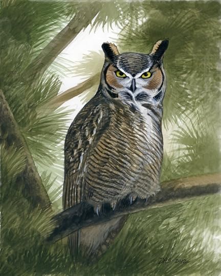 Bubo_virginianus_431_forprint_web