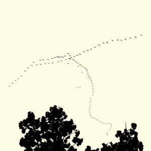 Francois Laxalt, photographer