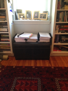 What the world sees. (part of it. There's also a shelf. And no.)