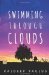 Swimming Through Clouds: A Contemporary Young Adult Novel