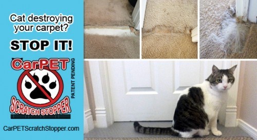 carpet-scratch-stopper