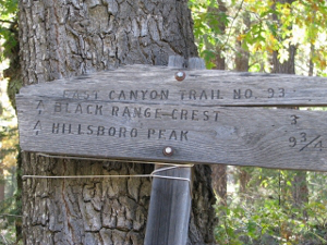 trail sign by Kate Rauner