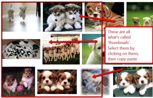 copy-paste