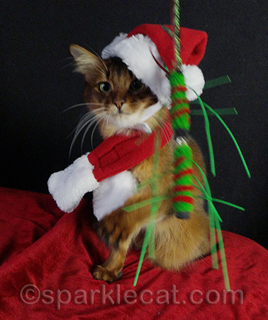 Die, you Neko Fly, DIE! Is it okay to say that while you're wearing a Santa hat?