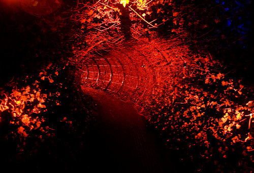 Red Tunnel