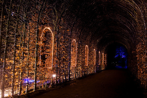 Light Tunnel