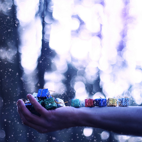 Photo by Joel Robison