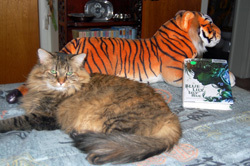 Kel and Ruby Stole My Book!
