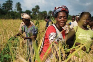 women-farmers-investing-african-agriculture
