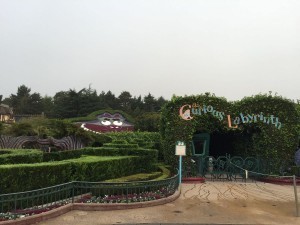 Alice's Curious Labyrinth