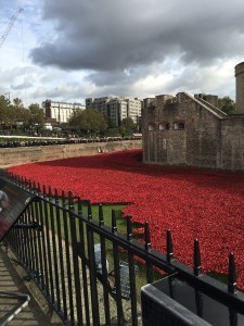 The sea of red poppies outside of the Tower of London