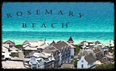  photo 5c3681f3-079b-4810-9ff5-5c86e8b6efb0.jpg