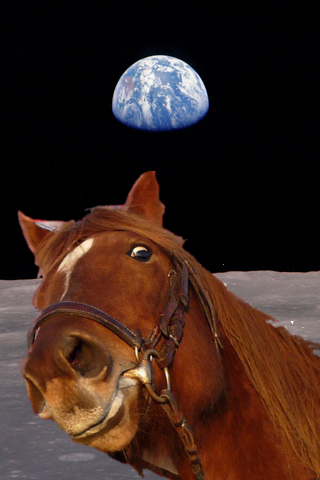 horseonmoon