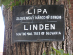 DSCN7568