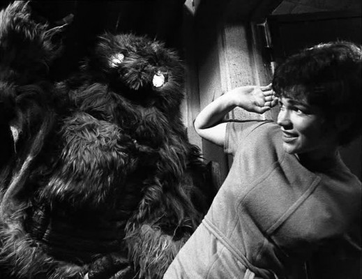 Doctor Who: The Web of Fear