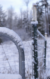 © Aaron Whitney | Dreamstime Stock Photos