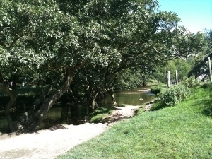 Dovedale