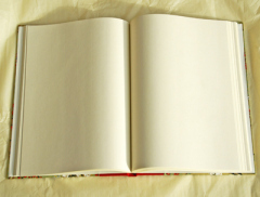 i am a writer