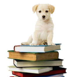 labrador puppies are like writing